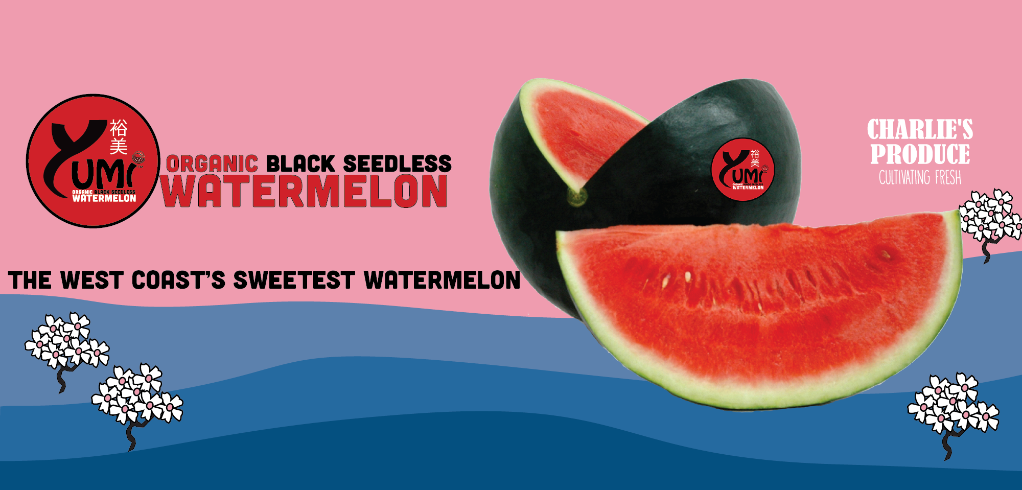 Charlie s Produce Organic Fruit Vegetable Wholesale Distribution Charlie s Produce Organic Fruit Vegetable Wholesale Distribution