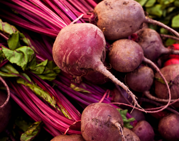 Featured Image - 2025-12-05T082515.285