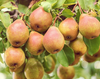 Featured Image - 2025-12-19T084534.041