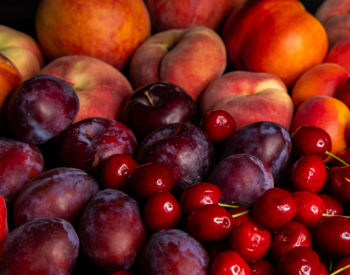 Featured Image - 2026-03-25T094950.191