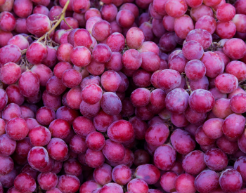 Featured Image - 2026-04-08T145917.392